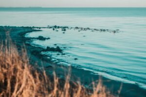 Dry grass framing shallow turquoise water and dark reefs