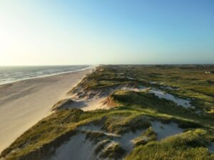 Grassy dunes above a long straight beach at sunset