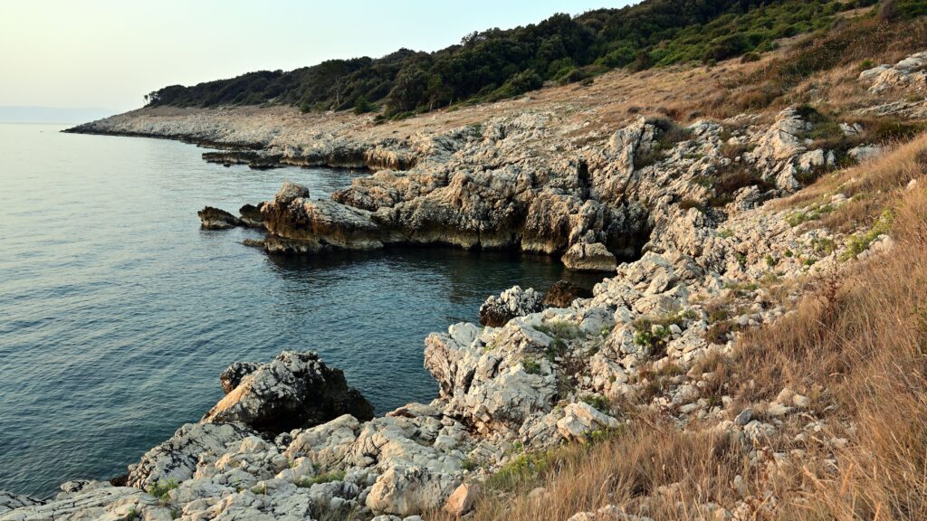 Pale weathered rocks along a sheltered rocky shore