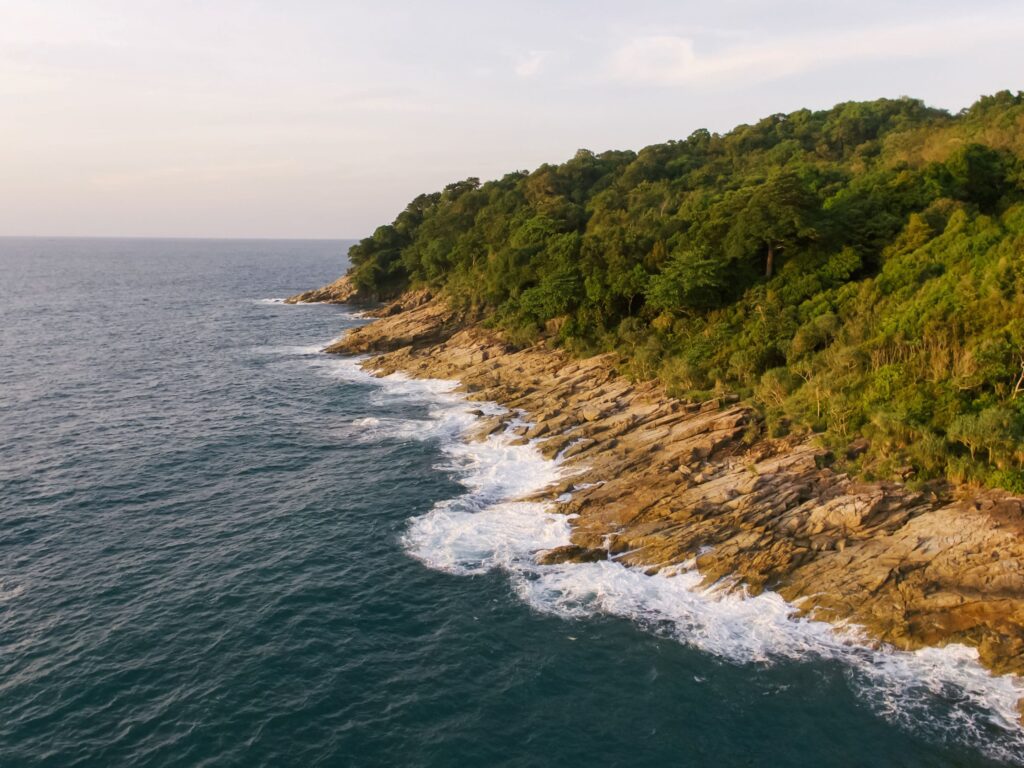 Surf breaking along a forested shoreline seen from above