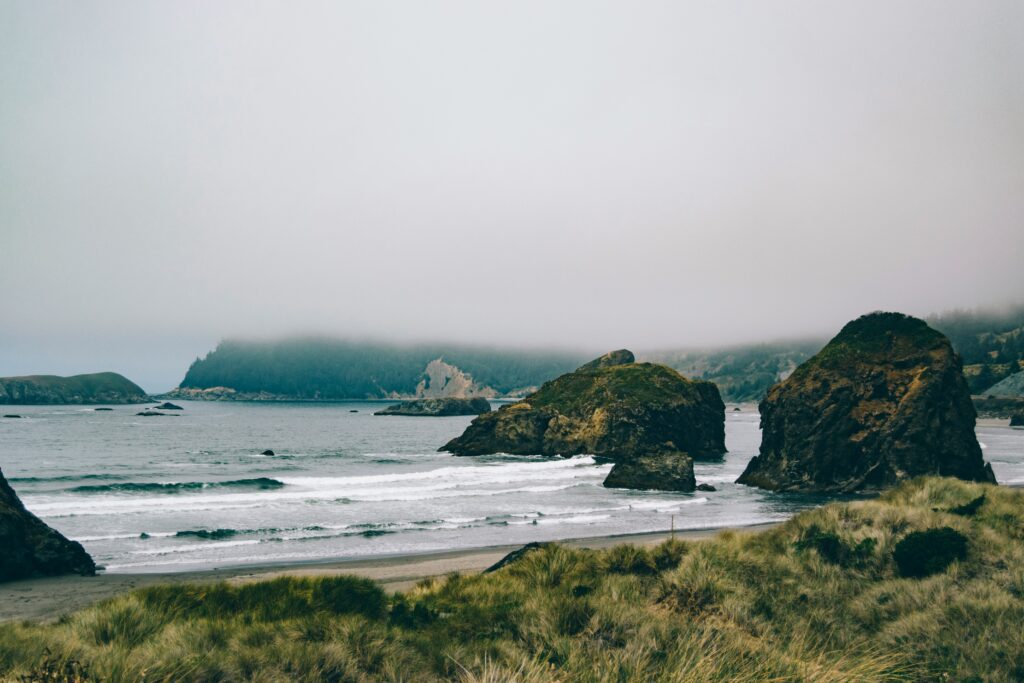Fog over sea stacks and surf beyond a grassy foreshore