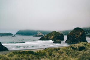 Fog over sea stacks and surf beyond a grassy foreshore