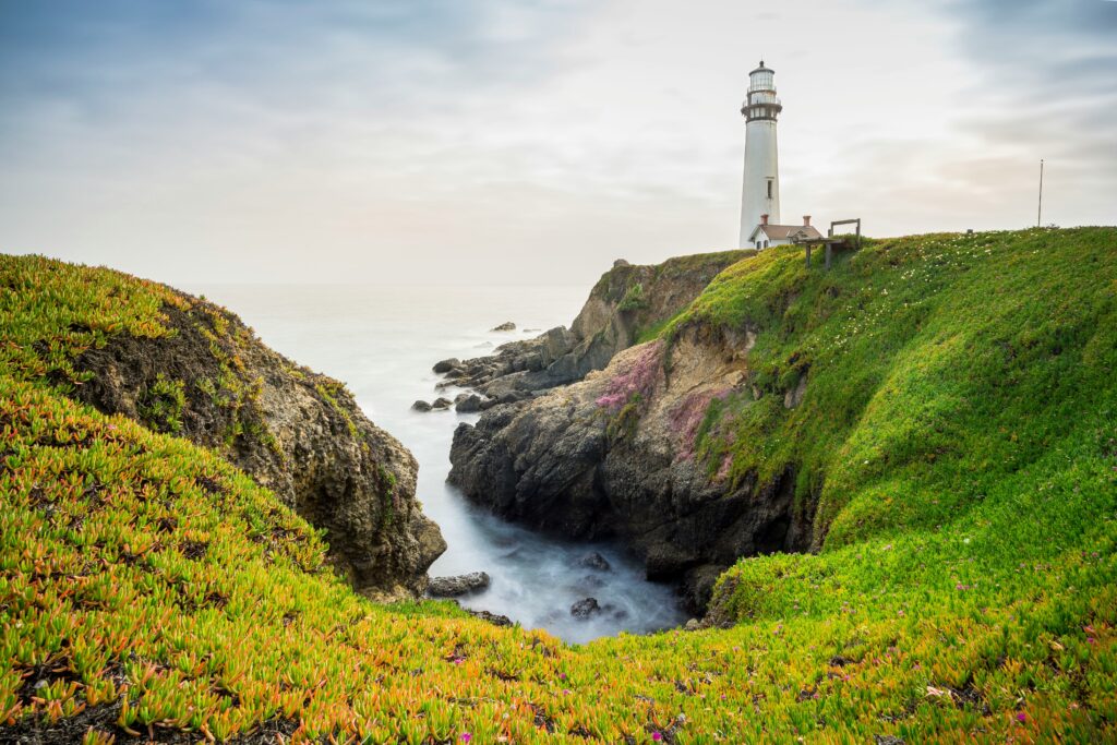 Pigeon Point Lighthouse above ice plant covered cliffs and a rocky cove