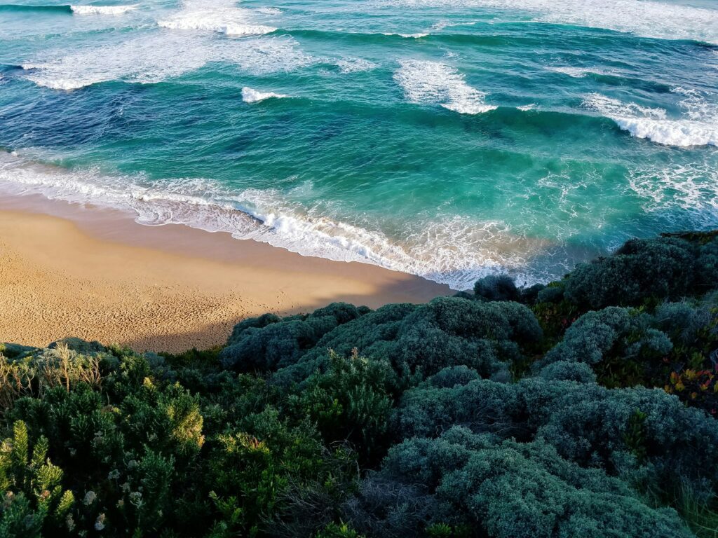 Turquoise waves breaking on a sandy beach fringed with green scrub