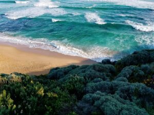 Turquoise waves breaking on a sandy beach fringed with green scrub